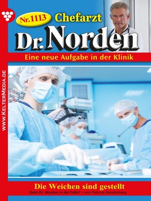 cover image of Chefarzt Dr. Norden 1113 – Arztroman